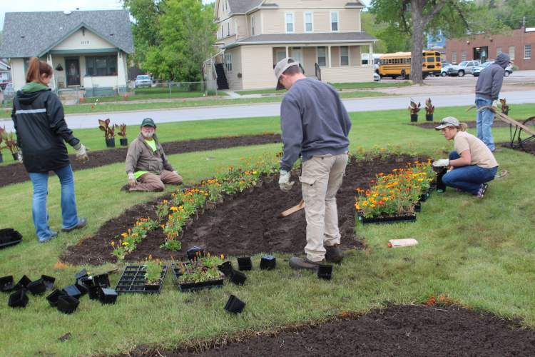 City Parks crews are out planting flowers and landscaping in several areas of Rapid City.  Upwards to 15,000 flowers and shrubs will be planted.