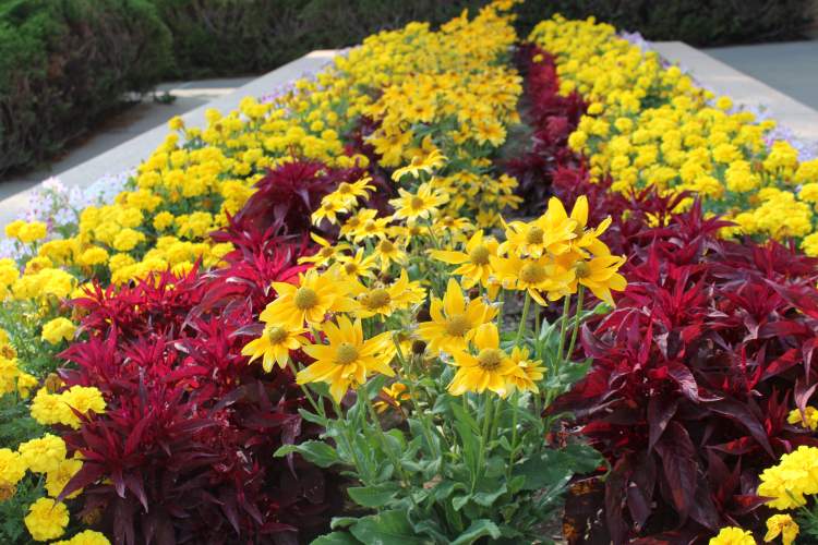 City offices, Rapid Transit and the Landfill will be closed Good Friday; other services will be open then but closed on Easter Sunday.