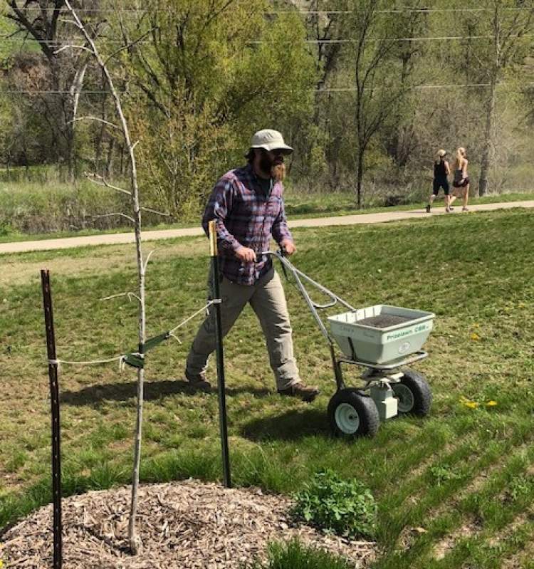 City Urban Forester Andy Bernard seeds an area at Founders Park West.  The City is establishing a natural grass/vegetation area at the Park.