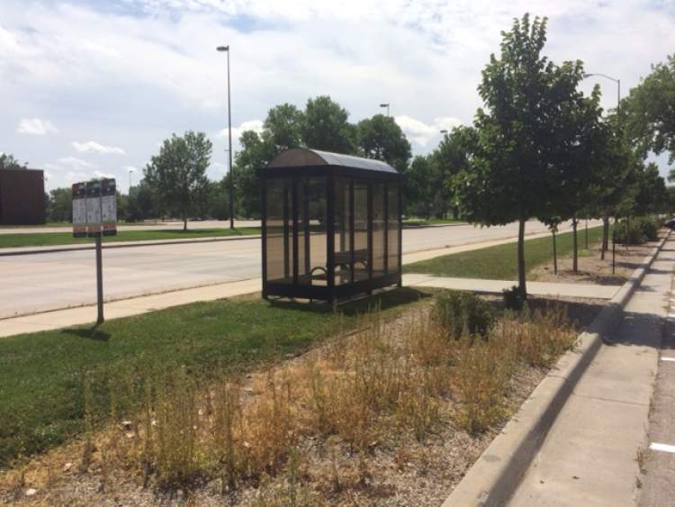 Rapid Transit System Inviting Volunteers To 'Adopt-A-Stop'