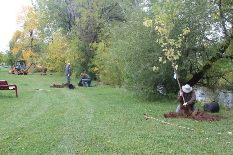 City Parks crews plant trees along Rapid Creek in this file photo.  The City's Urban Forestry Board is hosting the annual Community Tree Care Workshop, with an update on the Emerald Ash Borer as one of the presentations, on May 6 from 8 a.m.-2:30 p.m.