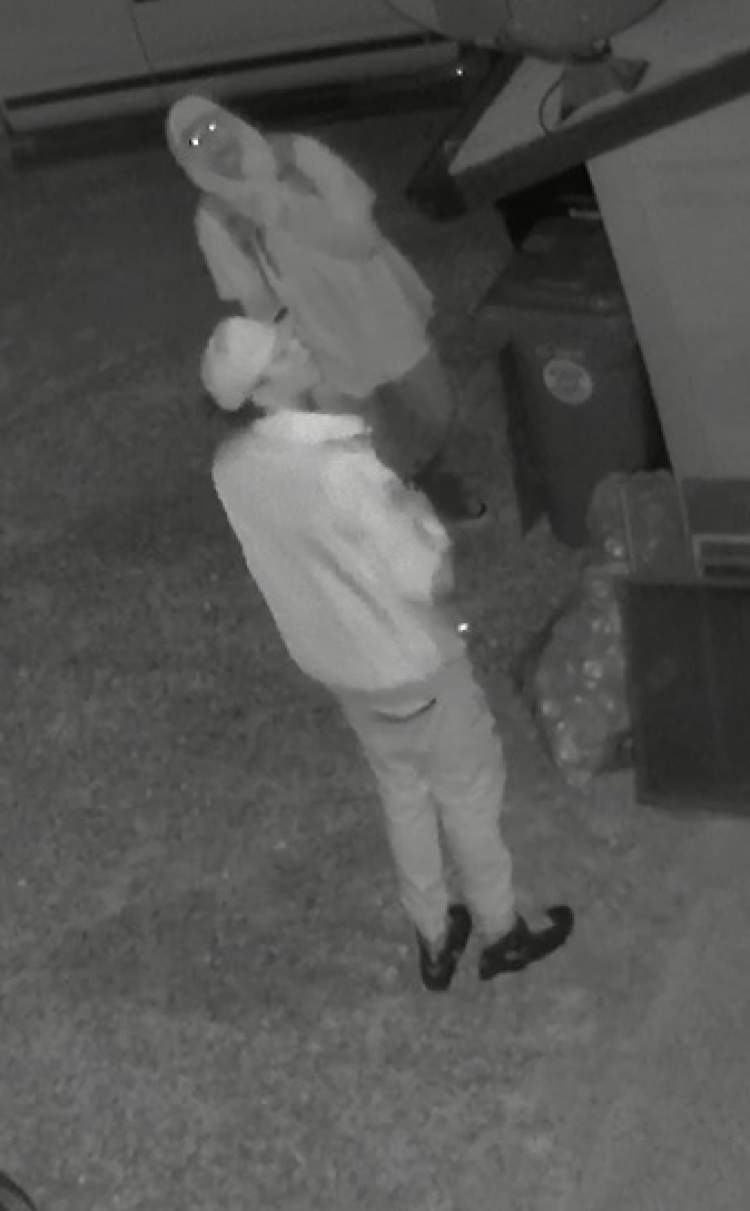 Still image of the suspects captured by the home&rsquo;s surveillance video