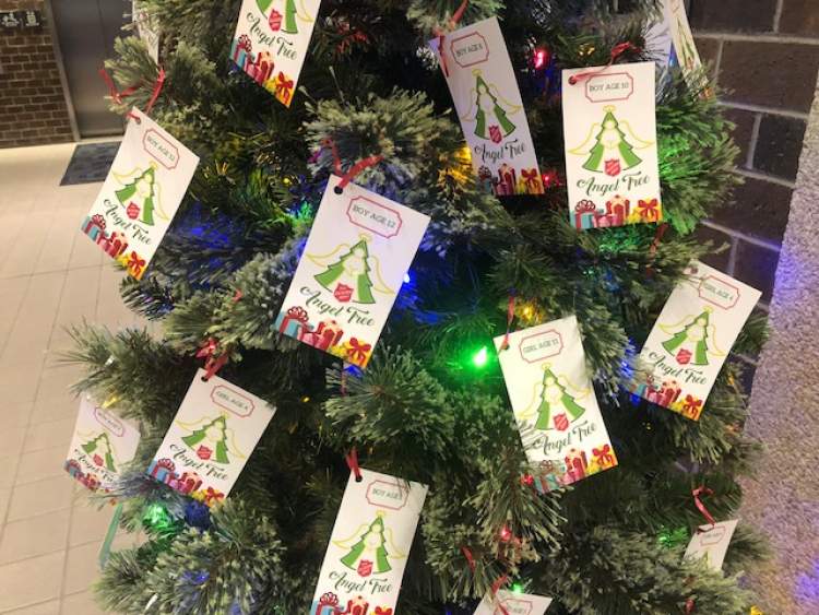 The City Hall Angel Tree