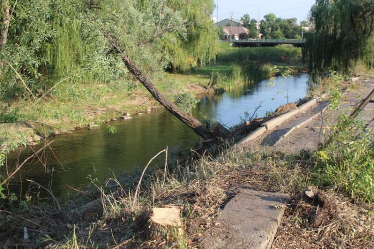 City crews are working to clear the Rapid Creek Flood Protection Project Area behind Baken Park of trees and overgrowth.