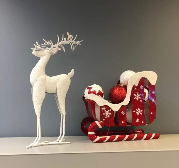 City Leaders, Staff Share Their Holiday Favorites