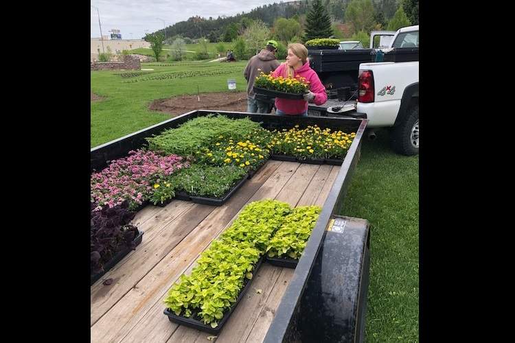 Despite reductions in seasonal staff, Parks crews have been out beautifying some select Park areas by planting 18,000 flower plants.