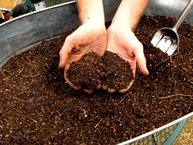 Why Use Compost?