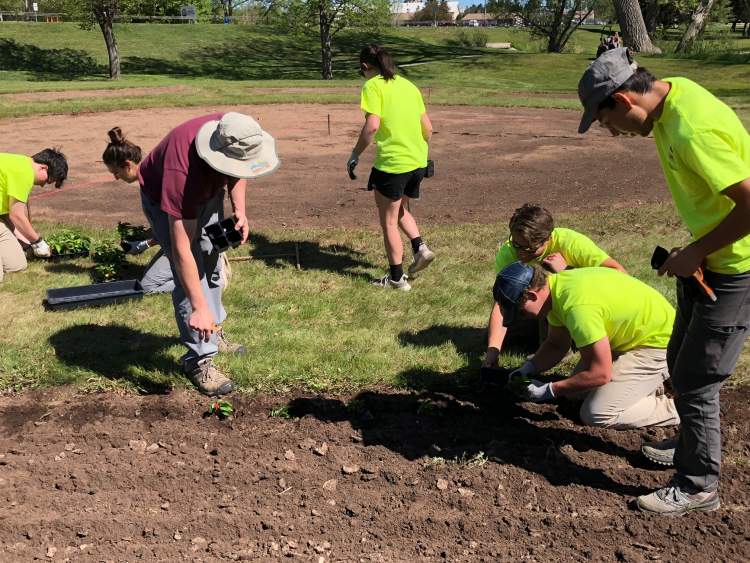 Seasonal crews plant flowers at Sunken Gardens near McKeague Field this week.