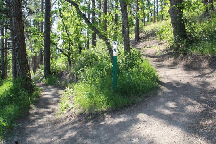 Earth Day Challenge: Sustainability Committee Encourages Public to Use Local Trails
