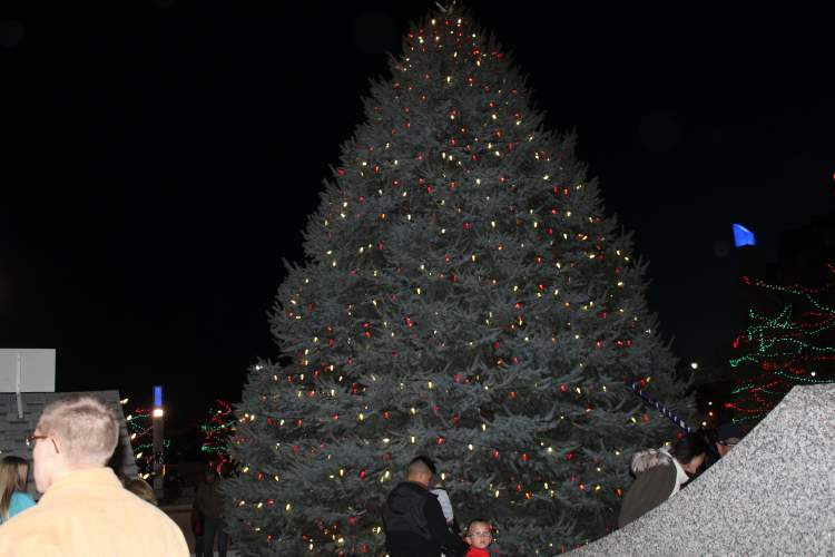 The City's Christmas tree in Main Street Square was lit up early Saturday evening, one of many highlights to the day culminating with the annual Festival of Lights parade.