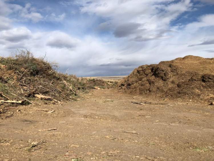 Nearly 4200 tons of yard waste compost has been sold to the public thus far in 2020.