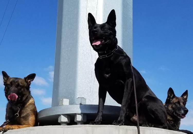 The three K9 members of the RCPD K9 Unit