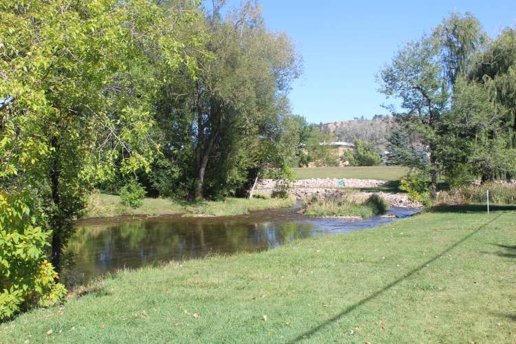 City crews will plant 120 trees along Rapid Creek between Canyon Lake Drive and Sheridan Lake Road September 25-27 to help increase cold water fish habitat, restoration of riparian zone areas, water clarity and storm water benefits.