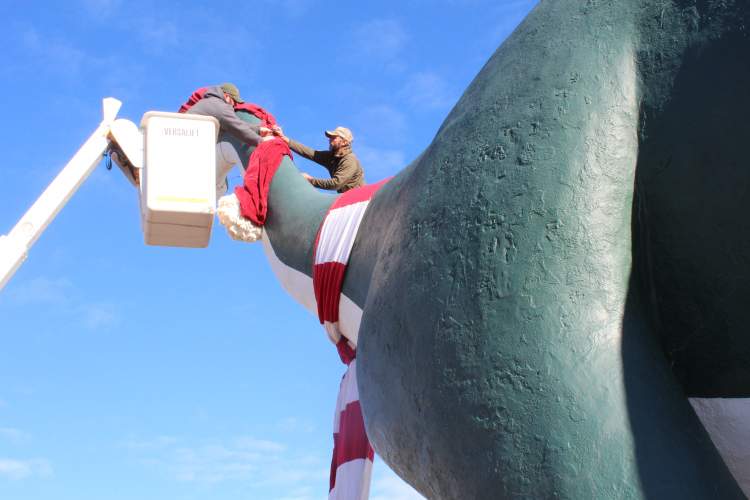 A crew from the City Parks department works to secure a large hat on Dino.