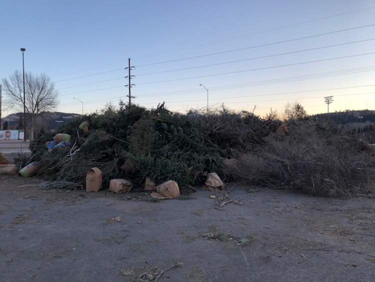 The remote disposal sites at Fitzgerald Stadium and West Boulevard North will be open to discard holiday greenery such as trees, wreaths and garland.  No yard waste and please remove ornamentation and bags.